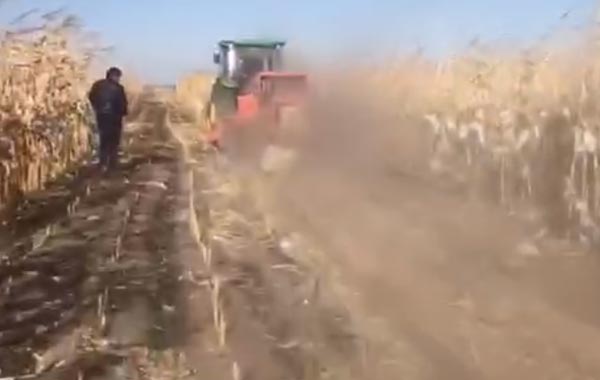 視頻工作：四平隆發機械9YFL-2.2自動撿拾稭稈粉碎方捆打捆機