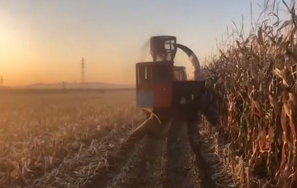 視頻工作：四平隆發機械9YF-2.2稭稈飼料方捆打捆機